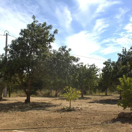Quinta Almar Balsa *