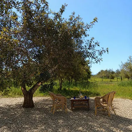 Quinta Almar Balsa Luz de Tavira