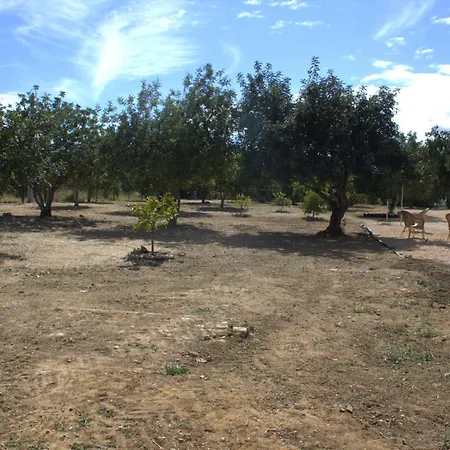 Quinta Almar Balsa Villa *